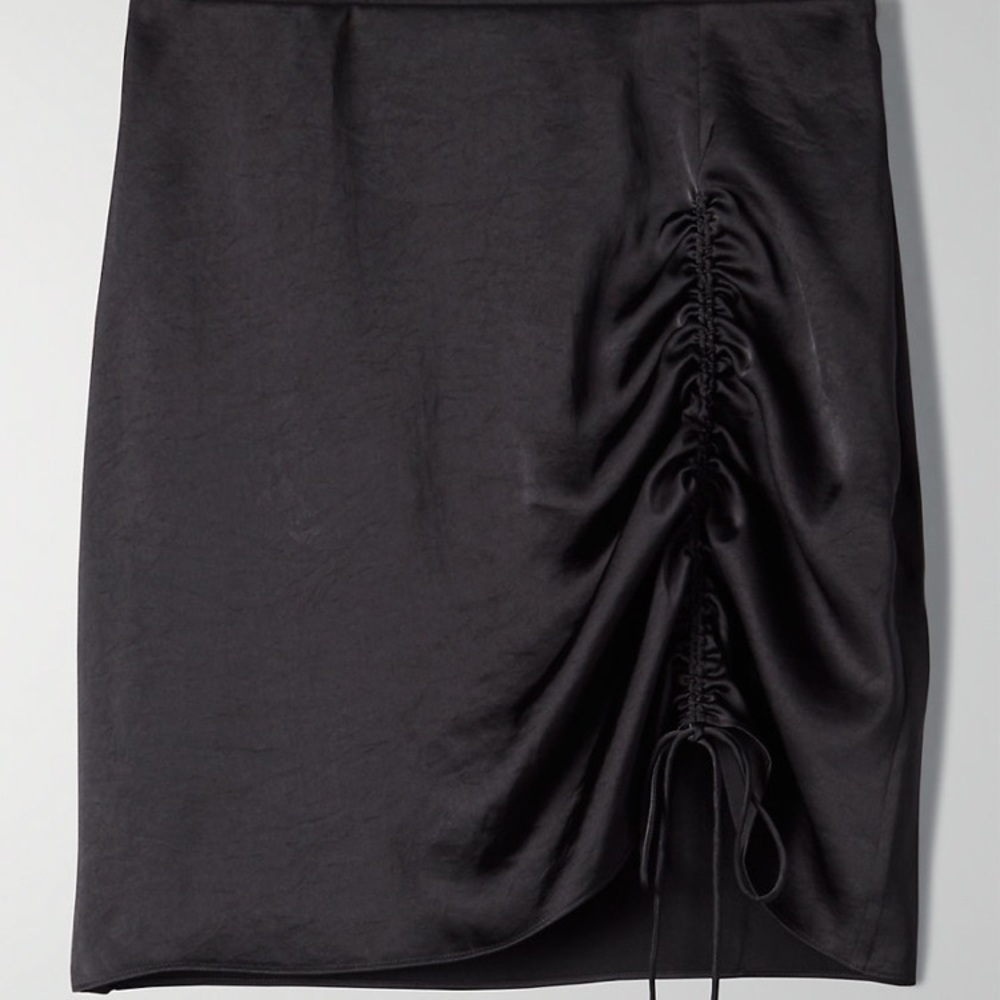 Aritzia Skirt